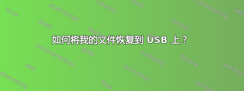 如何将我的文件恢复到 USB 上？