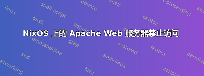 NixOS 上的 Apache Web 服务器禁止访问