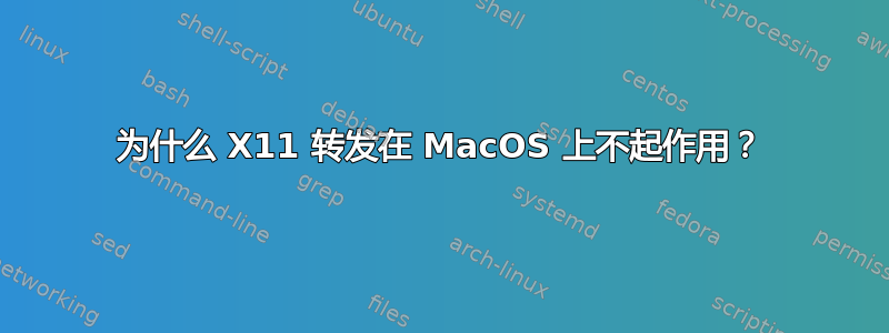 为什么 X11 转发在 MacOS 上不起作用？