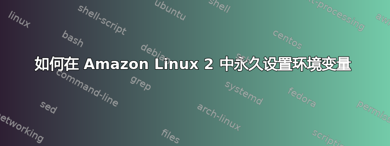 如何在 Amazon Linux 2 中永久设置环境变量