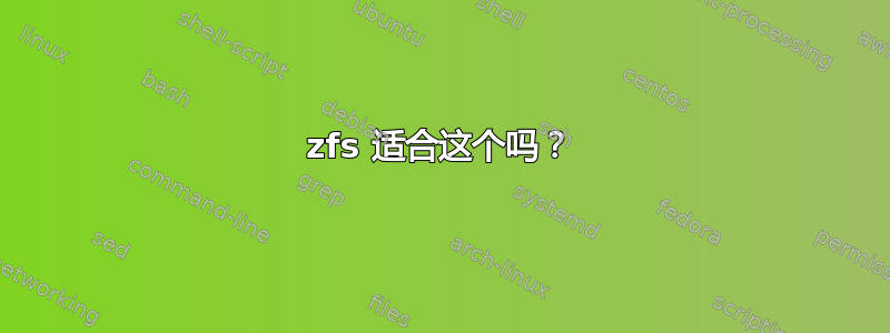 zfs 适合这个吗？