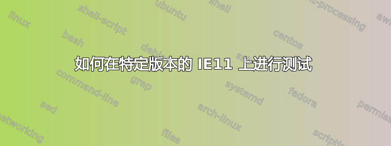 如何在特定版本的 IE11 上进行测试