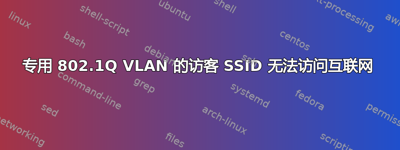 专用 802.1Q VLAN 的访客 SSID 无法访问互联网