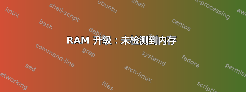 RAM 升级：未检测到内存