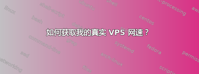 如何获取我的真实 VPS 网速？