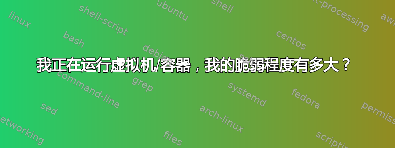 我正在运行虚拟机/容器，我的脆弱程度有多大？