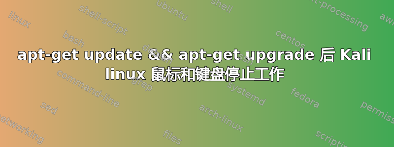 apt-get update && apt-get upgrade 后 Kali linux 鼠标和键盘停止工作