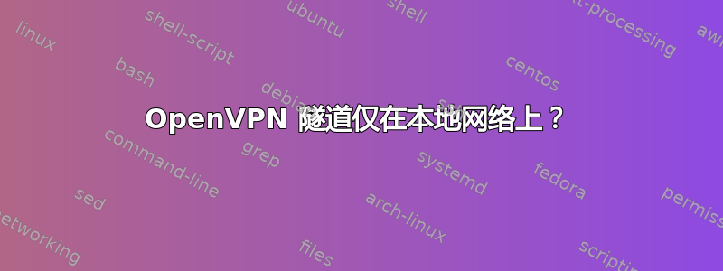 OpenVPN 隧道仅在本地网络上？