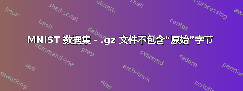 MNIST 数据集 - .gz 文件不包含“原始”字节