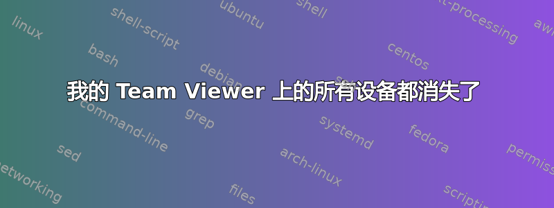 我的 Team Viewer 上的所有设备都消失了