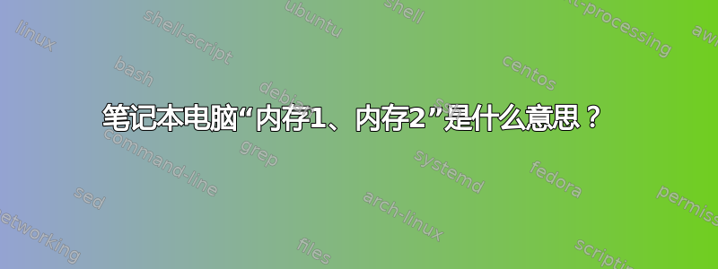 笔记本电脑“内存1、内存2”是什么意思？