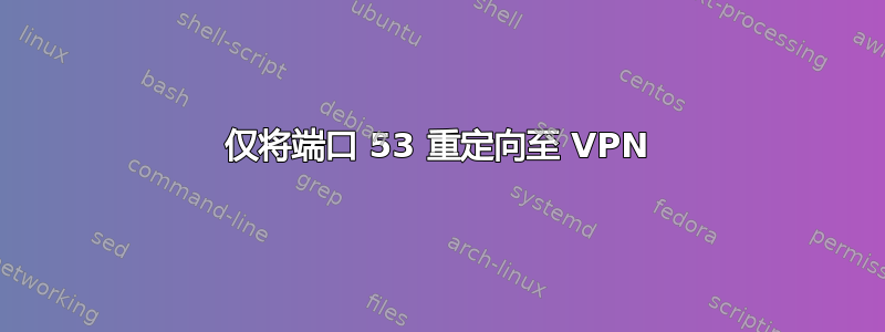 仅将端口 53 重定向至 VPN