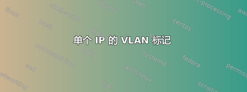 单个 IP 的 VLAN 标记