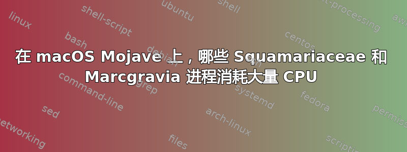 在 macOS Mojave 上，哪些 Squamariaceae 和 Marcgravia 进程消耗大量 CPU