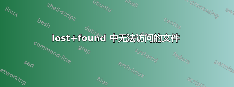 lost+found 中无法访问的文件