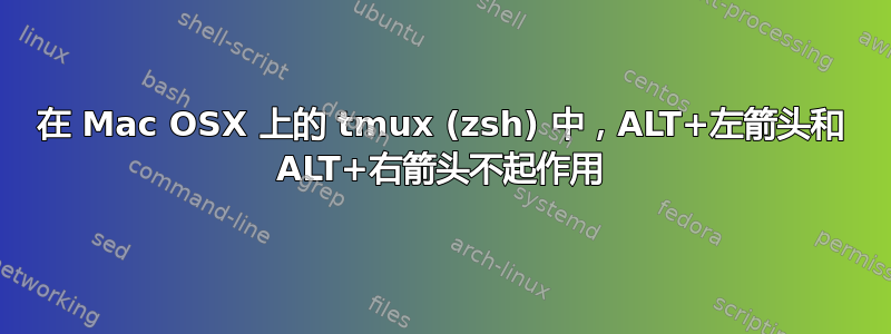 在 Mac OSX 上的 tmux (zsh) 中，ALT+左箭头和 ALT+右箭头不起作用