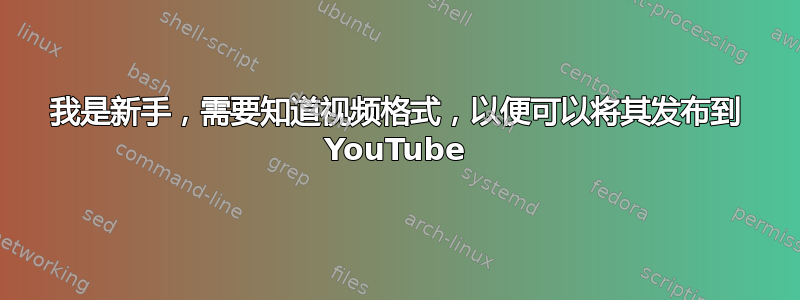 我是新手，需要知道视频格式，以便可以将其发布到 YouTube