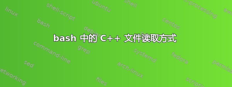 bash 中的 C++ 文件读取方式