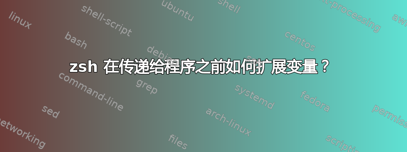 zsh 在传递给程序之前如何扩展变量？