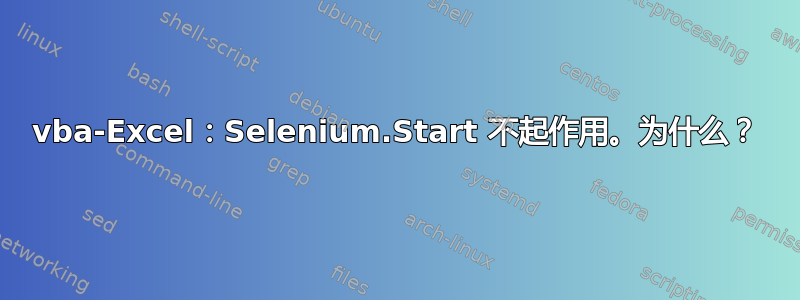 vba-Excel：Selenium.Start 不起作用。为什么？