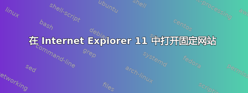 在 Internet Explorer 11 中打开固定网站