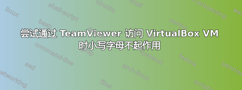 尝试通过 TeamViewer 访问 VirtualBox VM 时小写字母不起作用