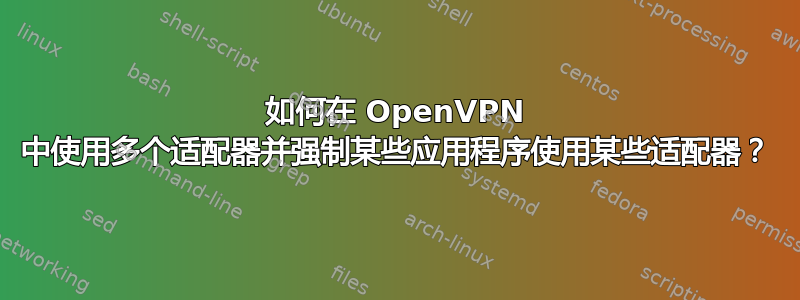 如何在 OpenVPN 中使用多个适配器并强制某些应用程序使用某些适配器？