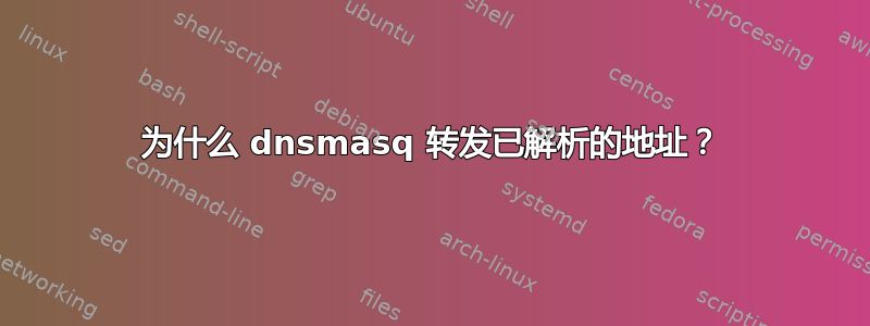 为什么 dnsmasq 转发已解析的地址？