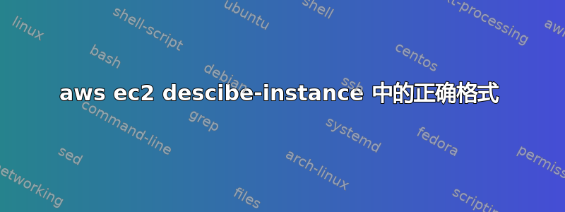 aws ec2 descibe-instance 中的正确格式