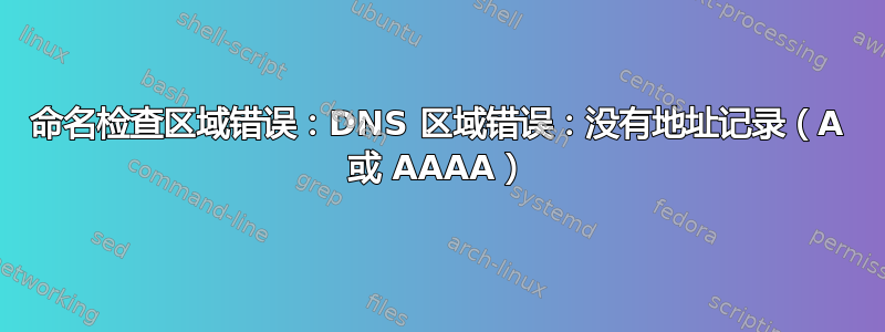 命名检查区域错误：DNS 区域错误：没有地址记录（A 或 AAAA）