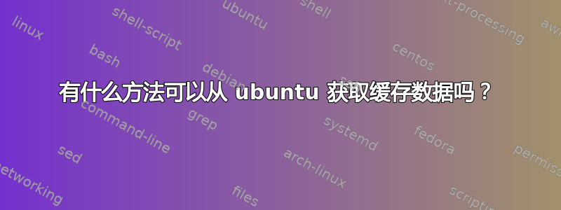 有什么方法可以从 ubuntu 获取缓存数据吗？