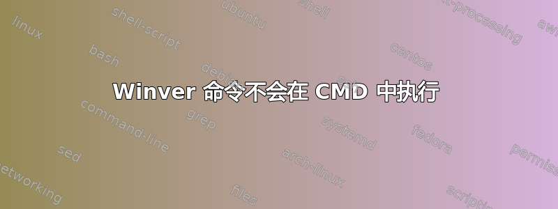 Winver 命令不会在 CMD 中执行