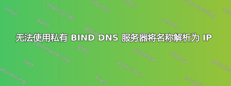 无法使用私有 BIND DNS 服务器将名称解析为 IP