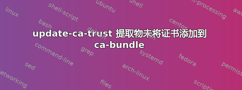 update-ca-trust 提取物未将证书添加到 ca-bundle