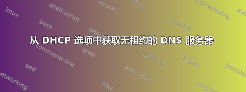 从 DHCP 选项中获取无租约的 DNS 服务器