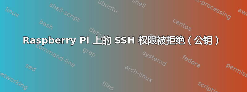 Raspberry Pi 上的 SSH 权限被拒绝（公钥）