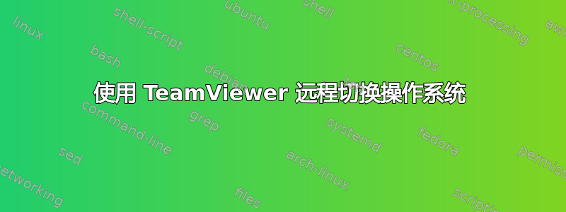 使用 TeamViewer 远程切换操作系统