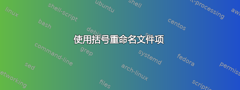 使用括号重命名文件项