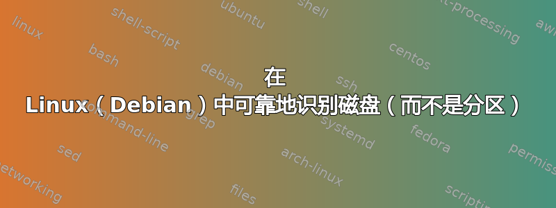 在 Linux（Debian）中可靠地识别磁盘（而不是分区）