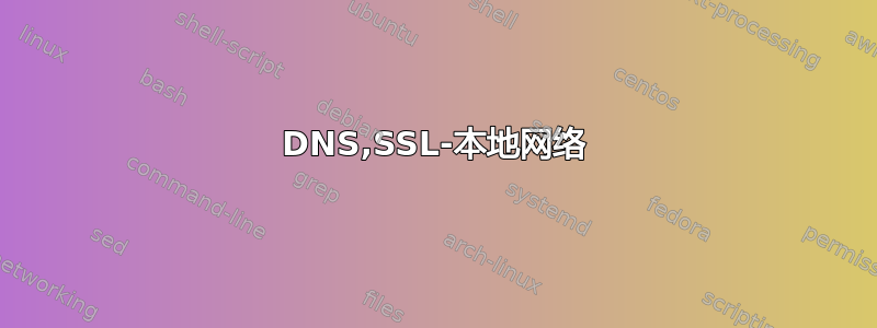 DNS,SSL-本地网络