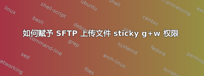 如何赋予 SFTP 上传文件 sticky g+w 权限