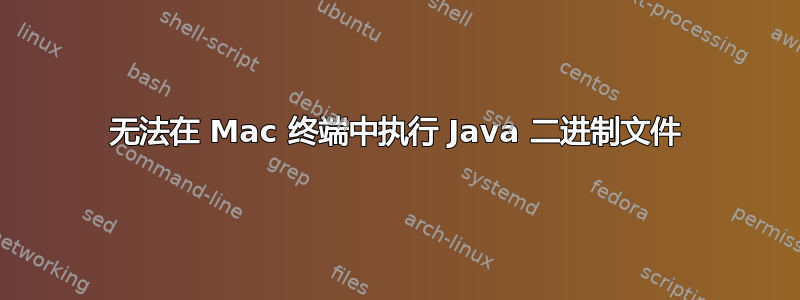 无法在 Mac 终端中执行 Java 二进制文件