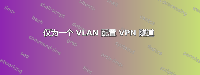 仅为一个 VLAN 配置 VPN 隧道