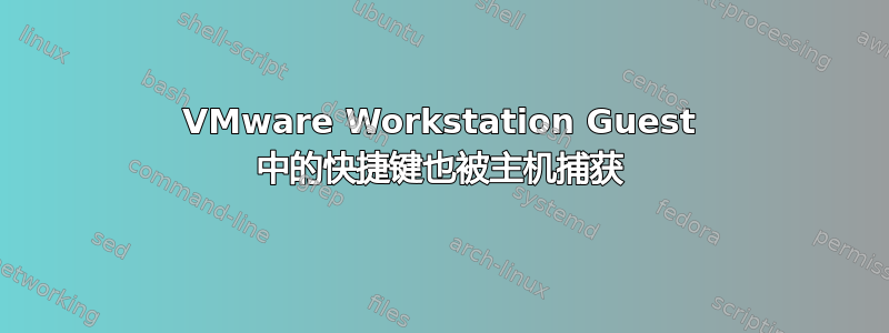 VMware Workstation Guest 中的快捷键也被主机捕获