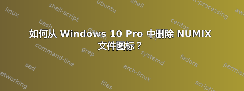 如何从 Windows 10 Pro 中删除 NUMIX 文件图标？