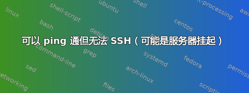 可以 ping 通但无法 SSH（可能是服务器挂起）