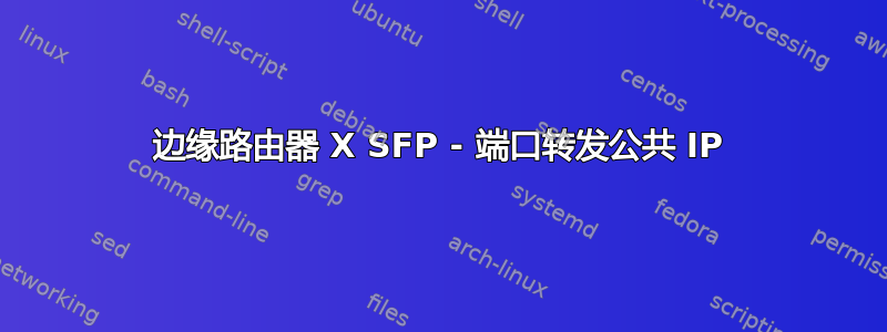 边缘路由器 X SFP - 端口转发公共 IP