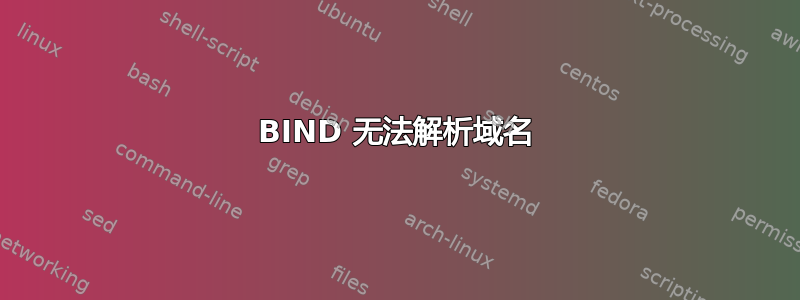 BIND 无法解析域名