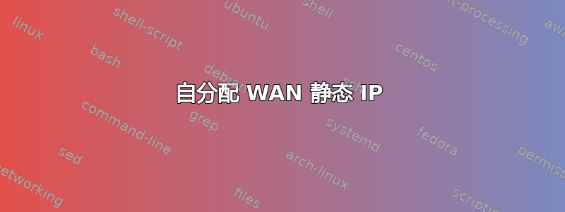 自分配 WAN 静态 IP