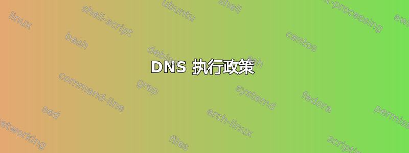 DNS 执行政策